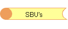 SBU's